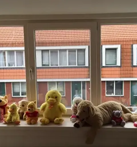 Kunststof kozijn met knuffels op vensterbank in kinderslaapkamer in Deventer