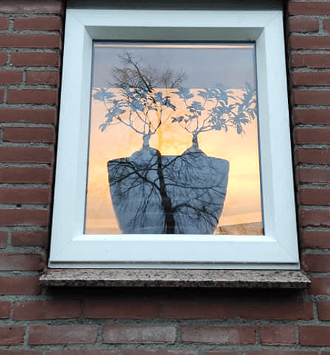 Close-up wit kunststof raamkozijn buiten met plant in vensterbank